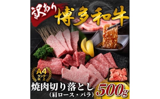 󂠂IyA4`A5zaē؂藎Ƃ([XEoj@500s10000