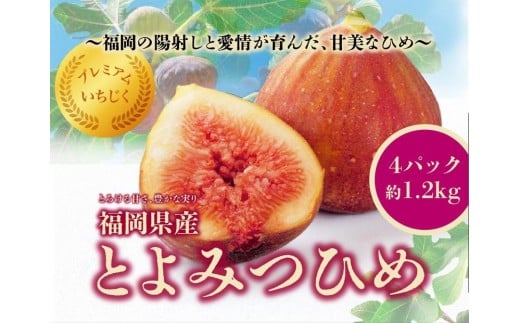 2026N8ȍ~Ƃ݂Ђ߁@SpbN1200gZbgisjs10000ʕEt[c̑ ʕEt[c