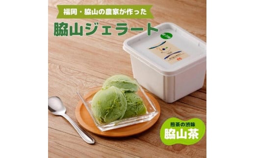 脇山ジェラート(脇山茶)500ml 福岡市内製造福岡県福岡市10000菓子・スイーツアイス・ジェラート
