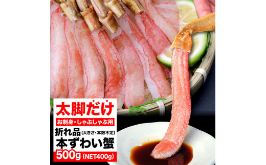 YCKj |[V r  500g HOK ܂i ss11000ECYJj