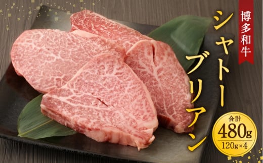 博多和牛シャトーブリアン 480g福岡県福岡市74000肉