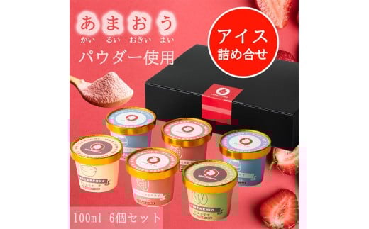 あまおうパウダー アイスクリーム 詰め合わせ【福岡市】100ml×6個入り福岡県福岡市17000菓子・スイーツアイス・ジェラート