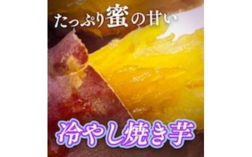 冷やし焼き芋1キロ(真空パック4〜6個入)【福岡市内製造】福岡県福岡市10000野菜・きのこじゃがいも・イモ類