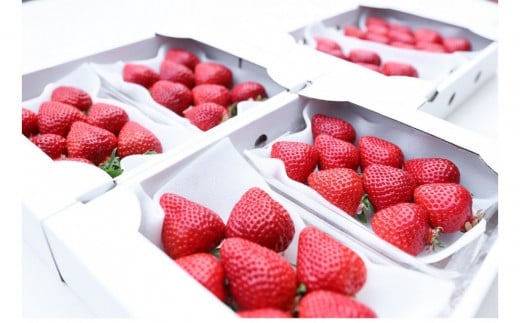 ǂ芮n܂6P@su꓇Ys20000ʕEt[c