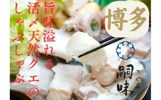 博多 嗣味 活〆天然クエのしゃぶしゃぶ 2〜3人前福岡県福岡市40000魚介・海産物貝類