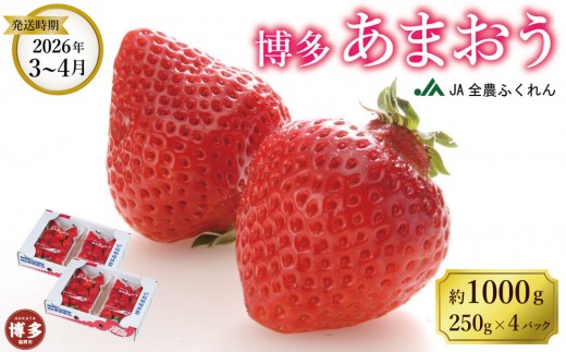 <2026年3月〜4月発送>博多あまおう約250g×4福岡県福岡市10000果物・フルーツいちご
