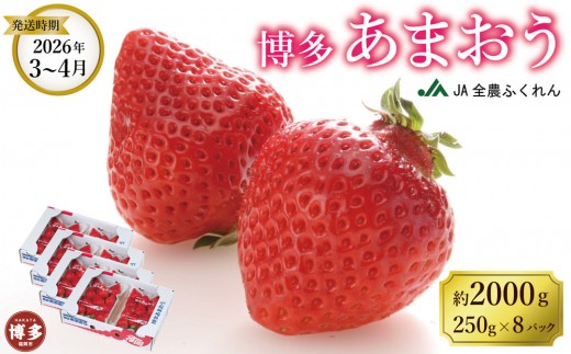 <2026年3月〜4月発送>博多あまおう約250g×8福岡県福岡市17000果物・フルーツいちご