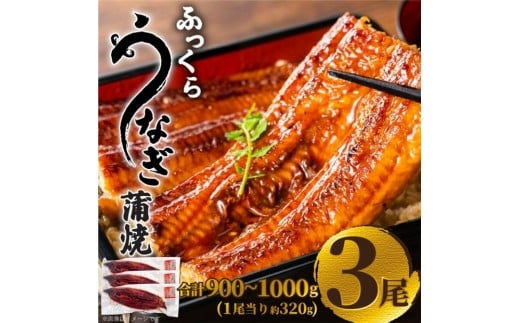 ӂ唻Ȃā@v960i320g×3js18000ECYȂ
