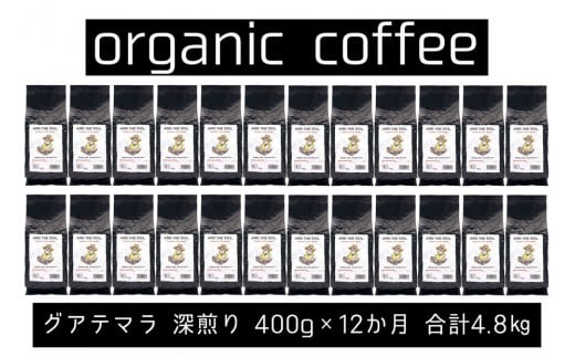 【定期便】AND THE SOIL.オリジナル焙煎オーガニックコーヒー豆GUA中煎り4800g 400g×12 か月【福岡高砂】福岡県福岡市189000お茶・飲料コーヒー・紅茶