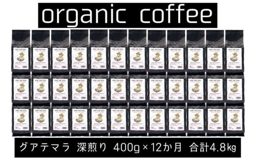 【定期便】AND THE SOIL.オリジナル焙煎オーガニックコーヒー豆GUA中煎り7200g 600g×12 か月【福岡高砂】福岡県福岡市282000お茶・飲料コーヒー・紅茶