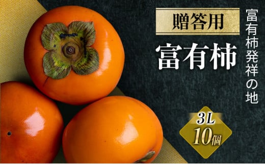 富有柿 贈答用 3L×10個入り ※離島への配送不可 ※2025年11月下旬頃より順次発送予定岐阜県瑞穂市22000果物・フルーツその他 果物・フルーツ
