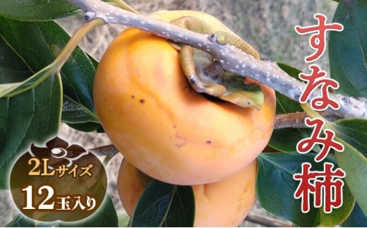 瑞穂市発祥の希少甘柿 すなみ柿 贈答用 ※離島への配送不可 ※2025年11月中旬頃より順次発送予定岐阜県瑞穂市20000果物・フルーツその他 果物・フルーツ