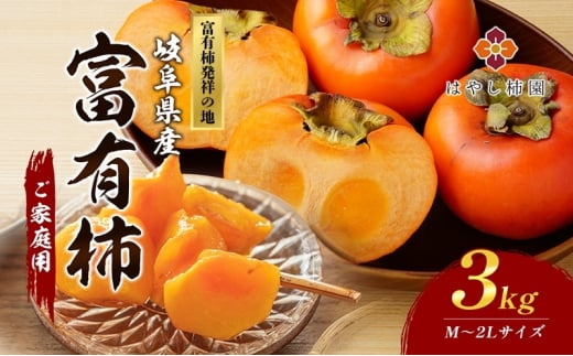 yAz͂₵`̂ƒp xL` M`2LTCY 3kg x Z H̖o p ƒp 2025N11{菇\ ւ̔zs򕌌s9000ʕEt[c