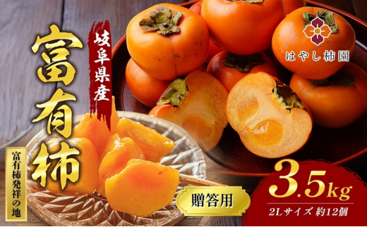 ͂₵`̑pxL`3.5kg 2LTCY 12 x Z H̖o Mtg 2025N11{菇\ ւ̔zs򕌌s18000ʕEt[c̑ ʕEt[c