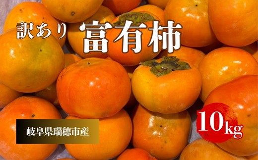 岐阜県瑞穂市産 訳あり富有柿 10kg※2025年11月中旬〜12月中旬頃に順次発送予定岐阜県瑞穂市13000果物・フルーツその他 果物・フルーツ