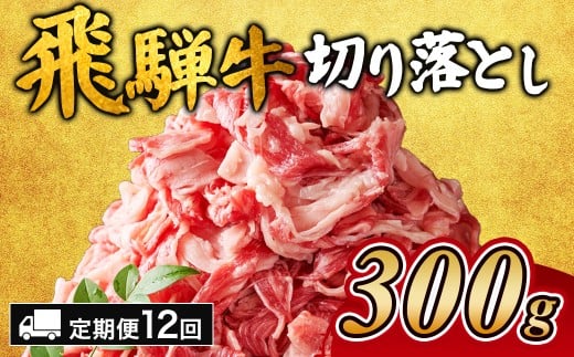【12ヵ月定期便】飛騨牛切り落とし 300g ※離島への配送不可|牛肉 和牛 国産 瑞穂市 岐阜県 飛騨牛牛肉 飛騨牛肉 切り落とし牛肉 切り落とし飛騨牛 飛騨牛 和牛肉 和牛飛騨牛 国産牛肉 国産