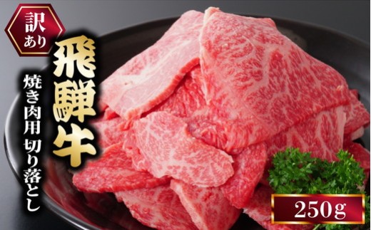 ★お試し★250g 訳あり 飛騨牛 焼き肉用 切り落とし ※離島への配送不可|牛 牛肉 焼肉 BBQ バーベキュー 切り落とし 訳あり飛騨牛 牛肉飛騨牛 飛騨牛切り落とし 牛肉焼肉 飛騨牛焼肉 焼肉
