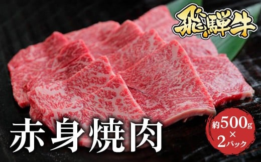 飛騨牛 赤身焼肉 約500g×2※北海道・沖縄・離島への配送不可岐阜県瑞穂市45000肉牛肉