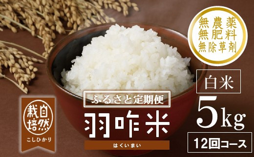 s\  V ʌ ߘa7NY V 5kg × 12 v 60kg  RVqJ H R͔|  _sgp H  \o Ђ  ΐ쌧Y   R  2025N