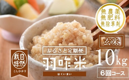 s\  V ʌ ߘa7NY V 10kg × 6 v 60kg  RVqJ H R͔|  _ 엿  H  \o Ђ  ΐ쌧Y \o GR 