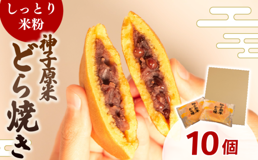 ǂĂ  ĕ 10 aَq َq ǂ₫  XC[c fU[g lC ֗  ̓ ̓  Ε 蕨  Mtg v[g Ƃ n  _q