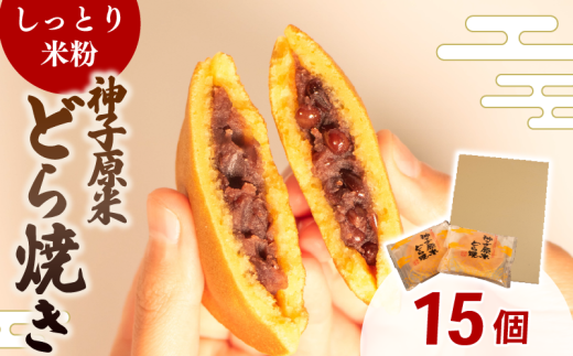 ǂĂ  ĕ 15 aَq َq ǂ₫  XC[c fU[g lC ֗  ̓ ̓  Ε 蕨  Mtg v[g Ƃ n  _q