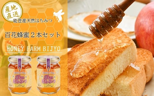能登産天然はちみつ『百花蜂蜜2本』セット石川県羽咋市17000鍋セット・総菜・加工食品ジャム・はちみつ