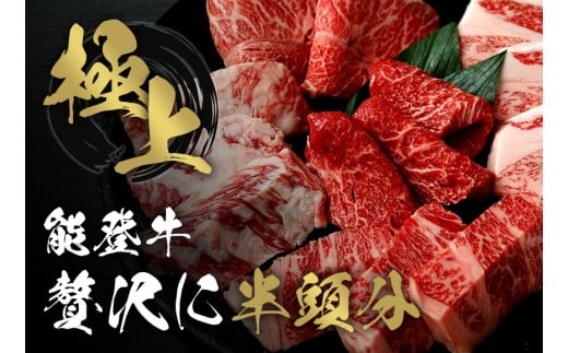 能登牛 半頭買い 一括配送 牛肉 冷凍 肉 希少 和牛 とろける 柔らか 口当たり お肉 ブランド牛 黒毛和牛 高品質 やきにく 焼き肉 すき焼き 炒め物 牛丼 BBQ 煮込み カレー 肉じゃが お祝い ふ