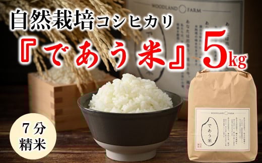 ʌ  5kg ߘa7NY V Ђ R͔|  h{ Lx     ͂ R7 2025NY    ł ΐ쌧 \o Hΐ쌧Hs19000