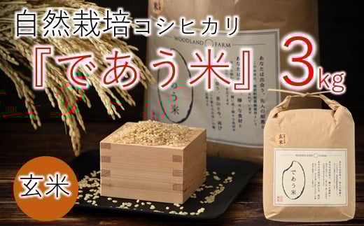 ʌ  3kg ߘa7NY V Ђ R͔|  h{ Lx     ͂ R7 2025NY    ł ΐ쌧 \o Hΐ쌧Hs11000āEp