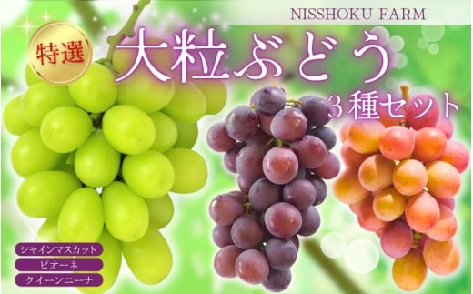 NISSHOKU FARM 特選 大粒ぶどう3種セット(シャインマスカット入り)岡山 ぶどう 真庭市 高級 ギフト 贈り物 ピオーネ クイーンニーナ 【C-10-01】岡山県真庭市32000果物・フルーツマスカッ