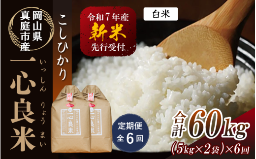 【令和7年産先行予約】<全6回定期便> 真庭市産コシヒカリ 米ぬか 牡蠣栽培米 『 一心良米 』 白米10kg (5kg×2袋)×6回(定期便) / お米 いっしんりょうまい 岡山県 真庭市 白米 米 コ