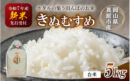 【令和7年産先行予約】令和7年新米 真庭市産 きぬむすめ 白米 5kg / お米 国産 岡山県 真庭市 白米 米 きぬむすめ キヌムスメ 人気 ブランド米 新米 先行予約 令和7年産 2025年産岡山県真庭