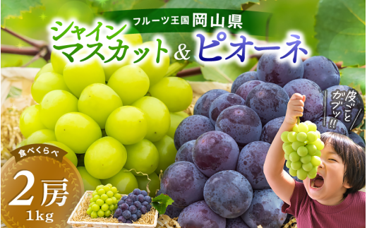 y2026Ns\z VC}XJbg&j[sI[l 1kg`1.5kgi2[j 2026N9{` tɔ\ pɂ ԏ΂ݔ_I R ^ sI[l lߍ킹   2026 ^s