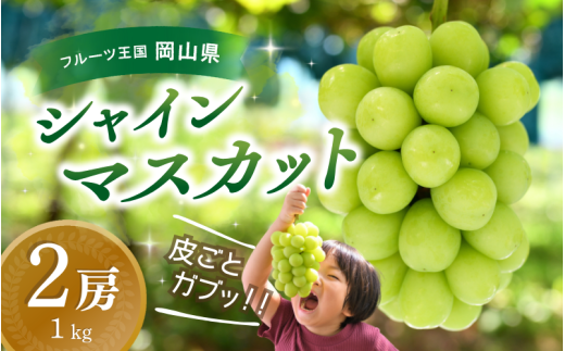 【2026年の先行予約です】ぶどう 岡山 花笑み農園 『シャインマスカット』1kg(2房)hana15 贈答用 岡山 真庭 シャインマスカット 高級 1kg 贈答 2025 真庭市 大粒 葡萄 果物 フルーツ シャインマ