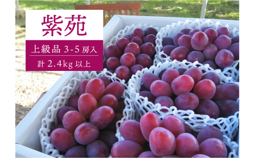 KF-B046-02yƂt@[zIi  3`5[/v2.4kg~ (RY) / Ԃǂ uhE  s\ t[c ʕ ^s t[c ƂʎR^s22000ʕEt[c}X