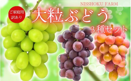 NISSHOKU FARM ご家庭用大粒ぶどう3種セット岡山 訳あり【NF-13-01】 ぶどう 詰め合わせ 真庭市 食べ比べ岡山県真庭市19000果物・フルーツマスカット・ぶどう