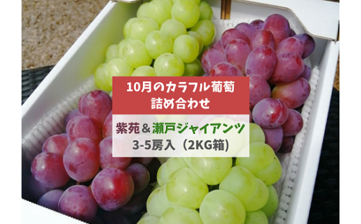 KF-B045yƂt@[z˃WCAc 3-5[/v2.0kg~ (RY)R^s18000ʕEt[c}XJbgEԂǂ