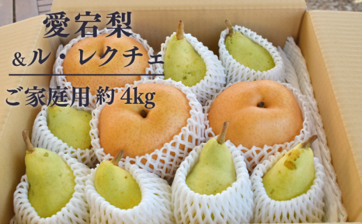 KF-C013【きよとうファーム】あたご梨&ルレクチェ ご家庭用 /約4kg (岡山県産)岡山県真庭市21000果物・フルーツりんご・梨