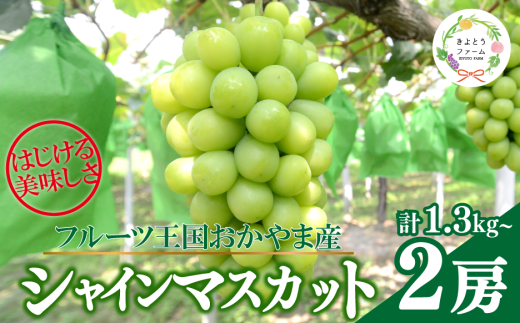 KF-B014-02【きよとうファーム】シャインマスカット 特大2房入/計1.3kg~ (岡山県産)岡山県真庭市21000果物・フルーツマスカット・ぶどう