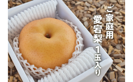 KF-C003【きよとうファーム】あたご梨 ご家庭用1玉入 /1kg~ (岡山県産)岡山県真庭市7000果物・フルーツりんご・梨
