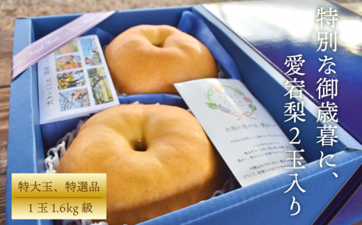 KF-C011-02【きよとうファーム】特選 あたご梨2玉入(1.6kg級/玉) (岡山県産)岡山県真庭市42000果物・フルーツりんご・梨