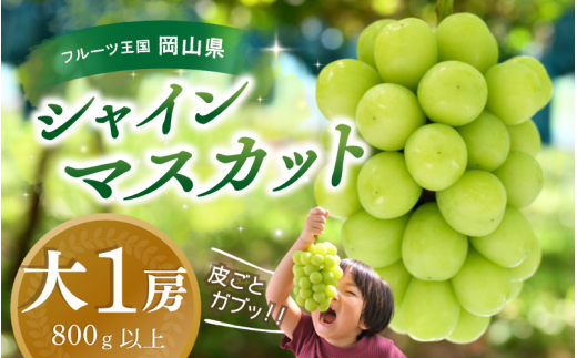 【2025年先行予約】ぶどう 岡山 花笑み農園『シャインマスカット』800g以上(大1房) hana34. 岡山 真庭 シャインマスカット 高級 贈答 2025 真庭市 大粒 葡萄 果物 フルーツ シャインマスカット
