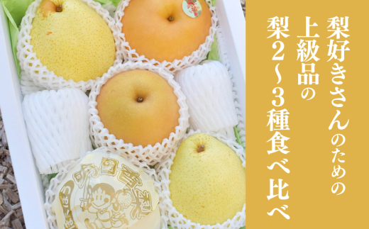 【きよとうファーム】梨好きのための、梨2〜3種食べ比べ 上級品 5-7玉 (岡山県産) 【KF-C014-01】岡山県真庭市19000果物・フルーツりんご・梨