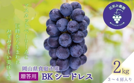 y2025Ns\zԂǂ R ԏ΂ݔ_́wBKV[hXxp2kgi3`4[j hana38 R ^ t[c yhana38-01zR^s19000ʕEt[c}XJbgEԂǂ