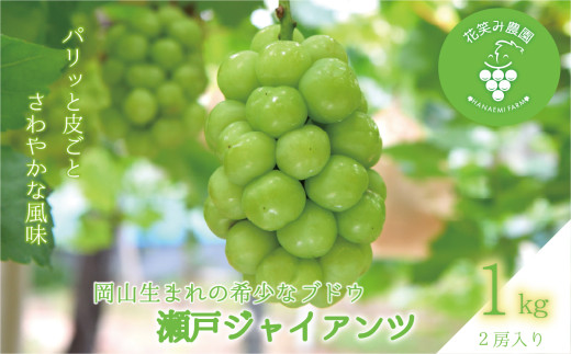 hana40.岡山 花笑み農園の『瀬戸ジャイアンツ』1kg(2房) 【hana40-01】岡山県真庭市15000果物・フルーツマスカット・ぶどう