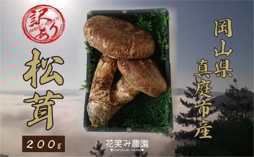 hana23-1.花笑み農園 岡山の訳あり『松茸』200g 【hana23-1-01】岡山県真庭市70000野菜・きのこきのこ