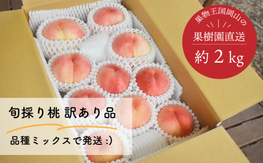 KF-A005【きよとうファーム】訳あり品 旬採り桃 (品種ミックス)8-11玉入/約2kg (岡山県産)岡山県真庭市10000果物・フルーツもも・すもも