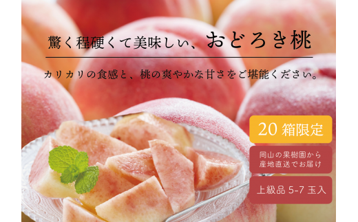 KF-A014【きよとうファーム】硬め桃「おどろき」上級品 5-7玉  (岡山県産)岡山県真庭市17000果物・フルーツもも・すもも