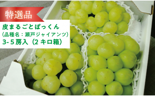 KF-B048yƂt@[zI ˃WCAc3-5[/v2.0kg~ (RY)R^s18000ʕEt[c}XJbgEԂǂ